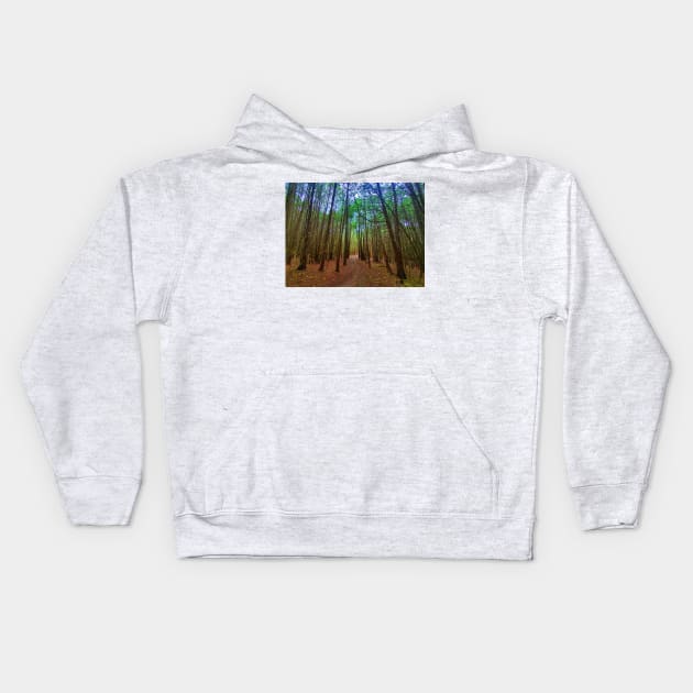 Path Through The Trees Kids Hoodie by BrianPShaw